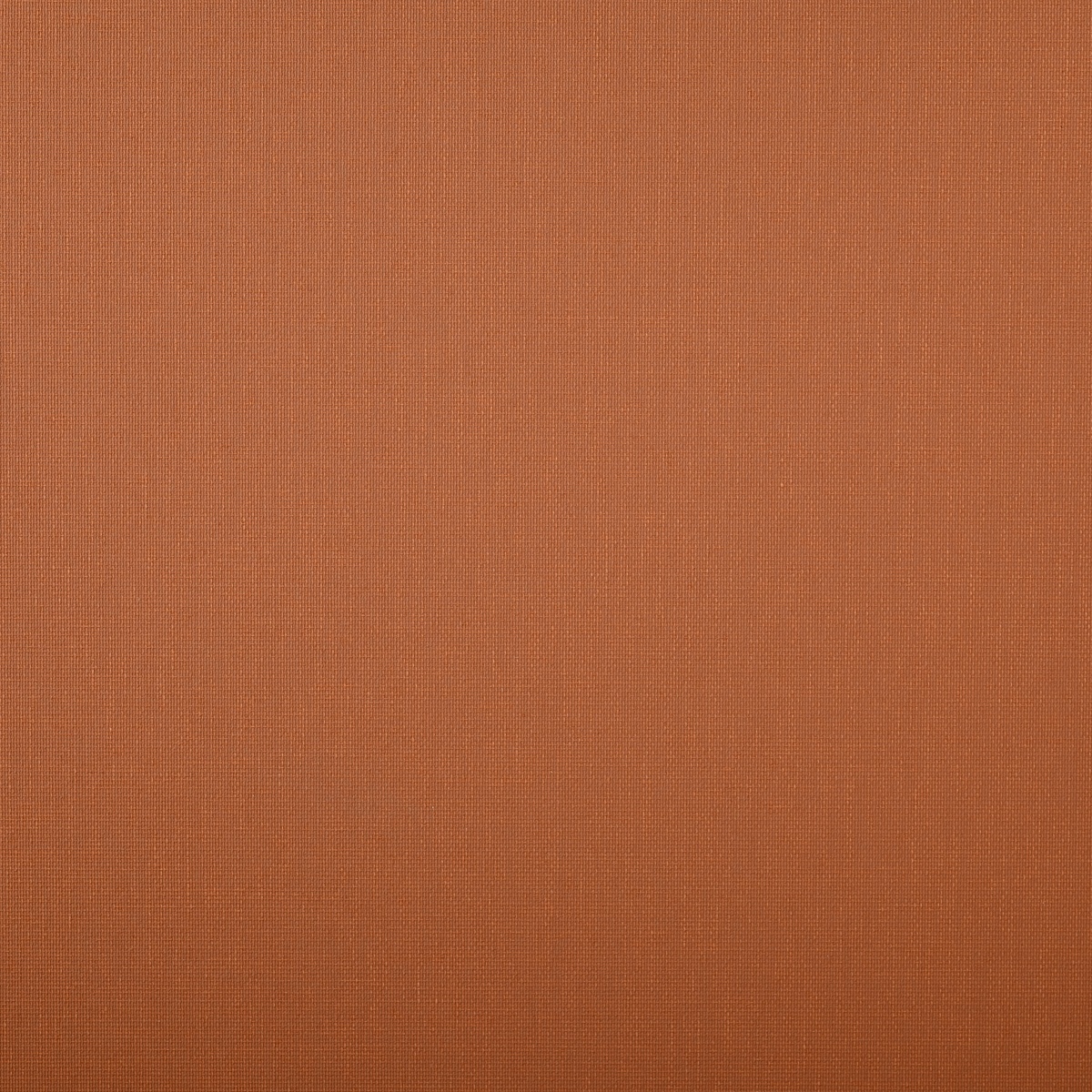 7005-41 Carina