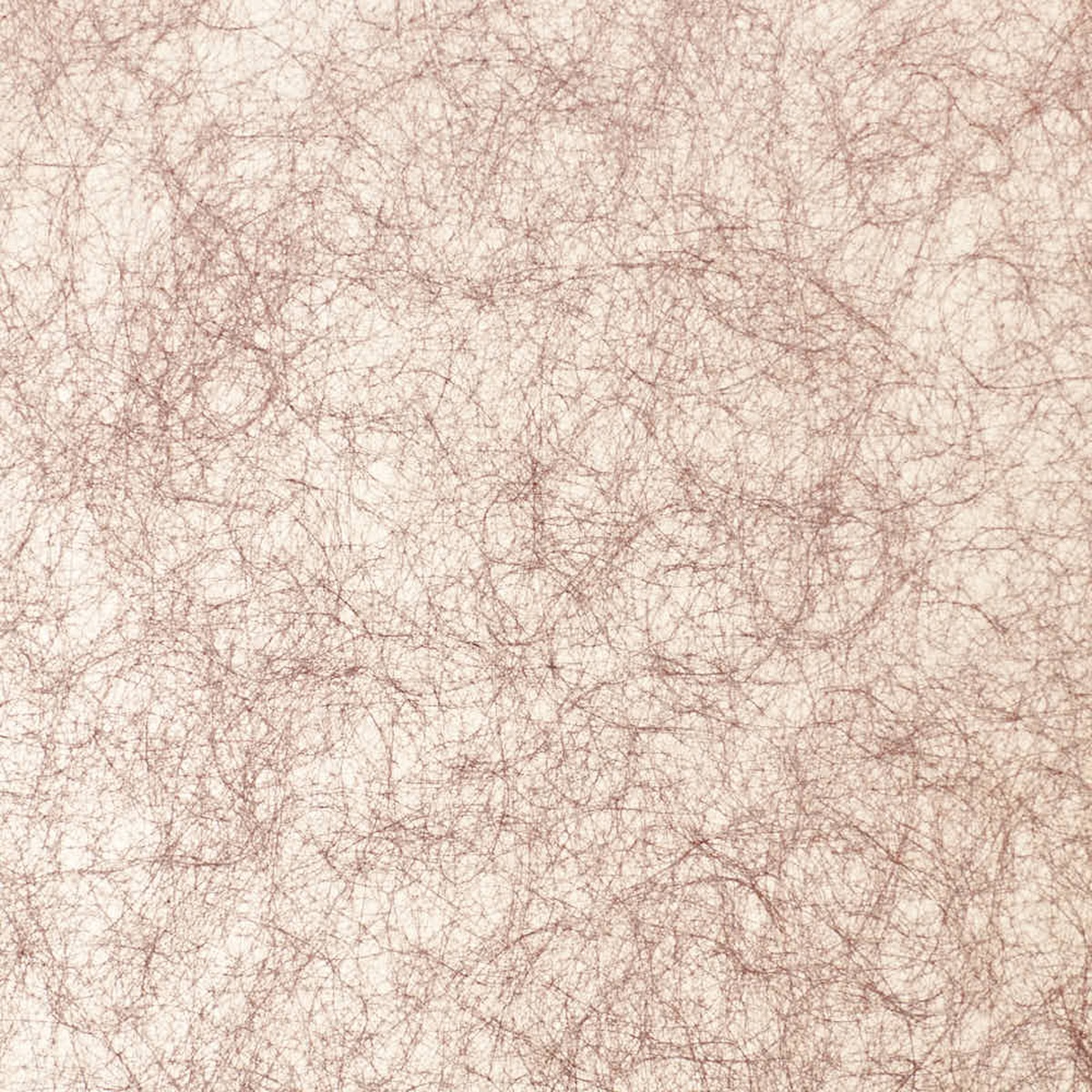 7061-04 Carisma