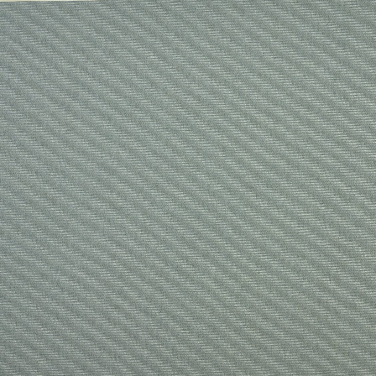 7005-10 Carina