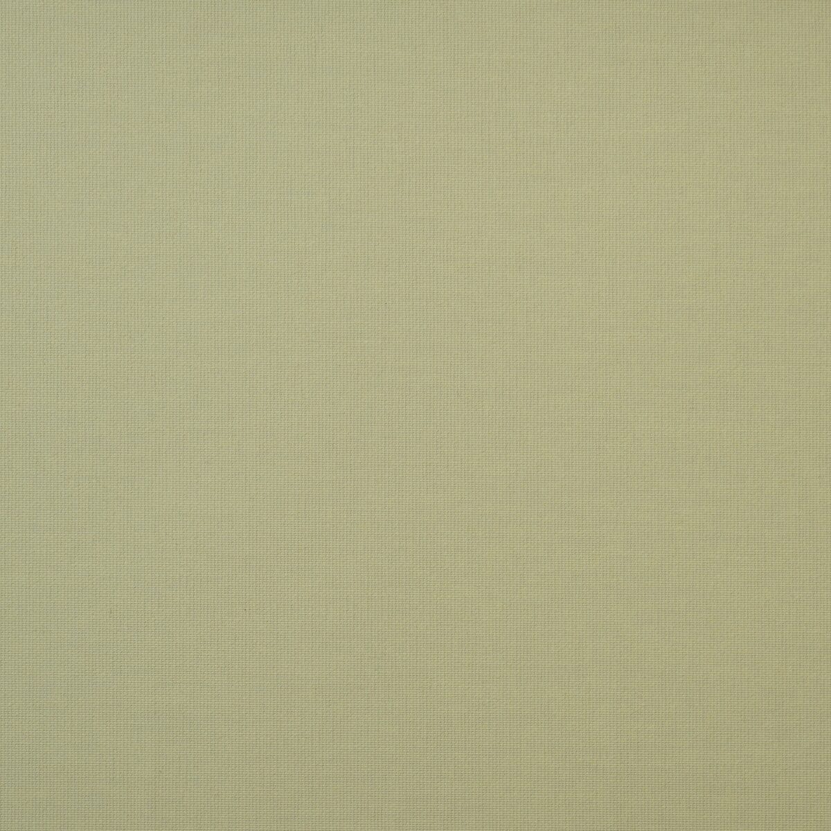 7005-15 Carina