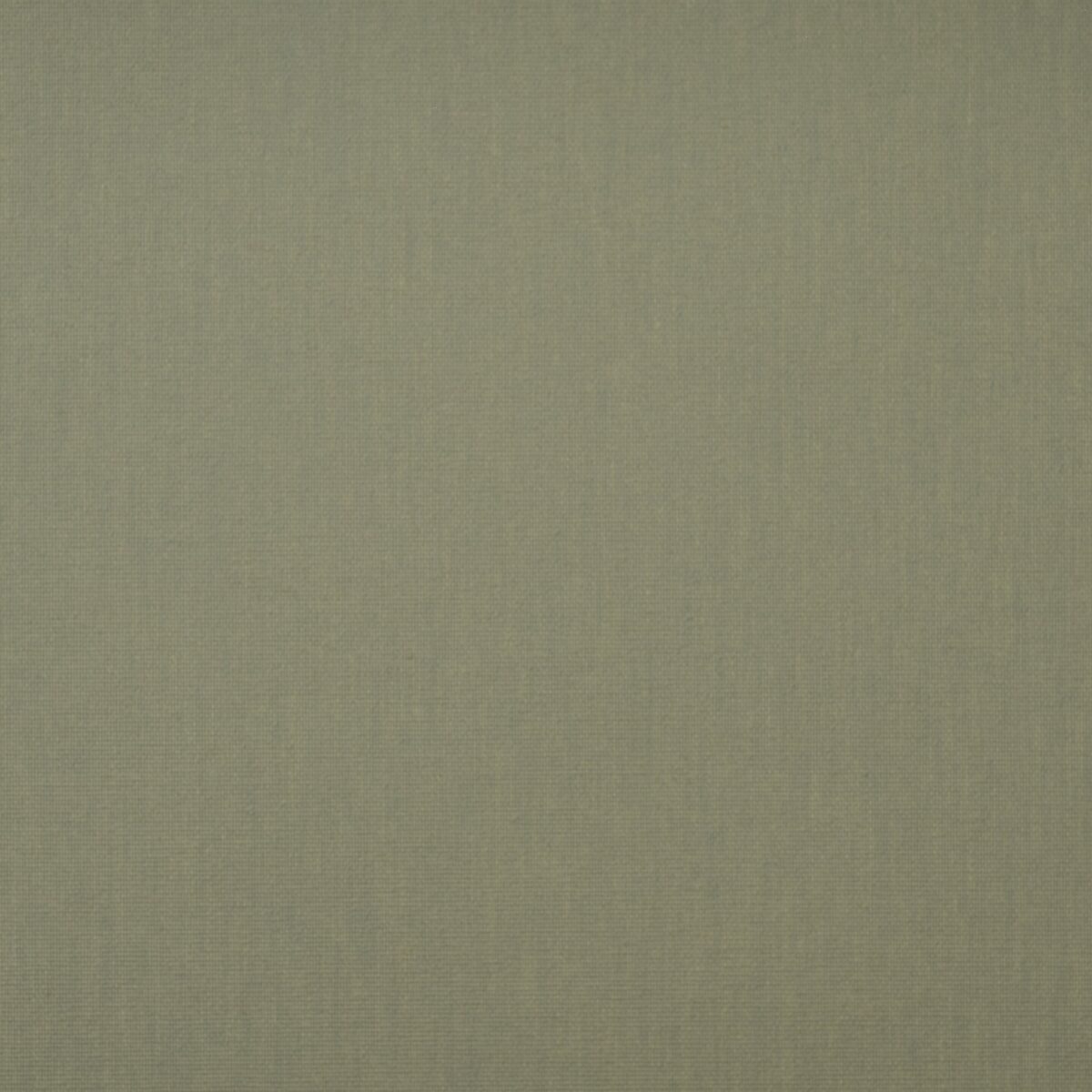 7005-51 Carina